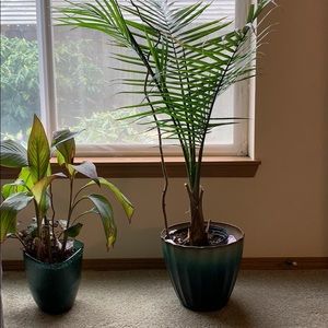 Meet your Posher, Brenda